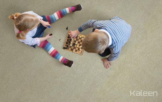 Room scene with Everest Collection flooring from Kaleen