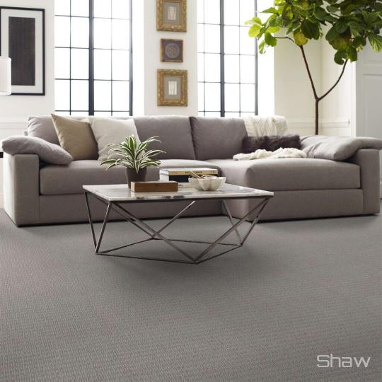 Chic Elevation