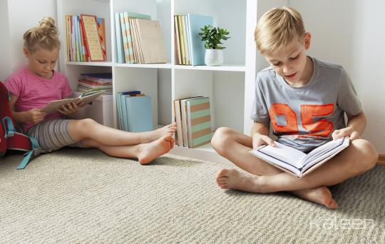 Room scene with Ithaca Row Collection flooring from Kaleen